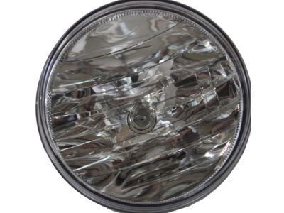 GMC 25866495 Fog Lamp Assembly