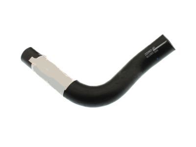 Cadillac 22827735 Lower Hose