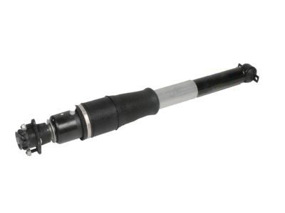 Cadillac 19300025 Shock Absorber