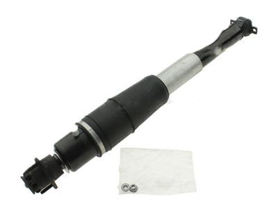 Buick 19300025 Shock Absorber