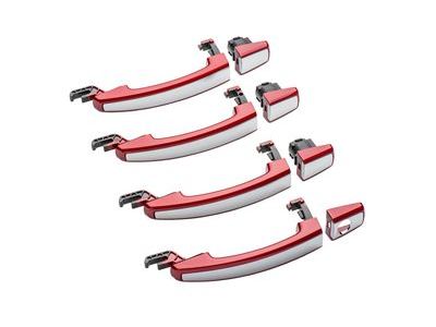 Chevy 20919352 HANDLE PKG,FRONT & REAR SIDE DOOR OUTSIDE(INCLUDES 2-6)(CLARET)(INSTALL 0.80)(0.4895 KGS)(W/CHROME STRIPE)