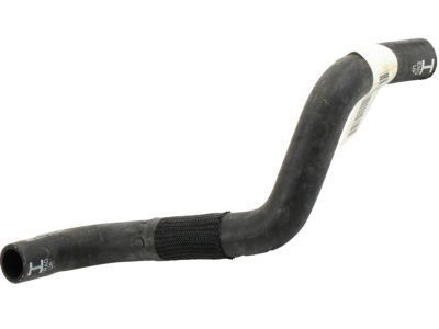 GMC 22946634 Lower Hose