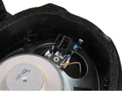 GM 10392739 Speaker Assembly, Radio Rear