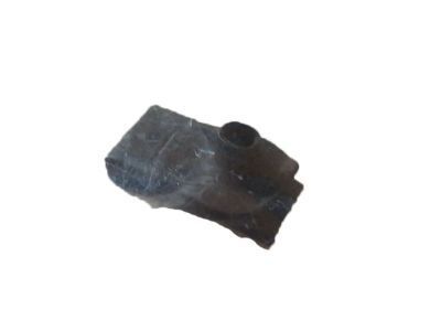 Chevy 11589259 Rocker Molding Nut