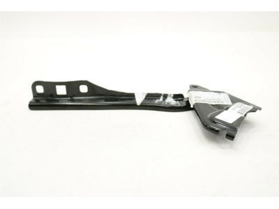 Chevy 23353486 Hinge