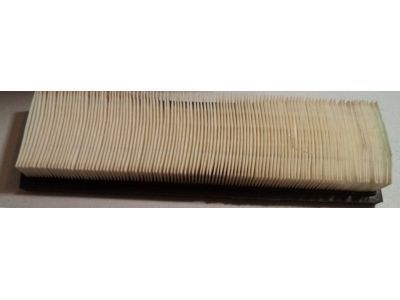 Chevy 25097919 Air Filter