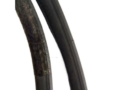 Pontiac 20787126 Weatherstrip