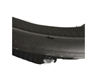 Pontiac 20787126 Weatherstrip