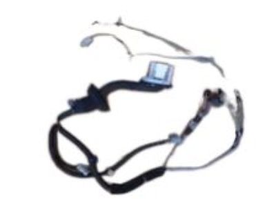 Hummer 25904939 Wire Harness