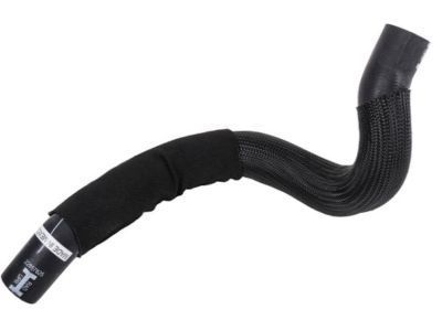 Buick Radiator Hose - 20877113