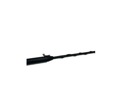 GM 24409086 Antenna Asm,Radio