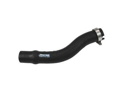 Chevy 22951232 Lower Hose