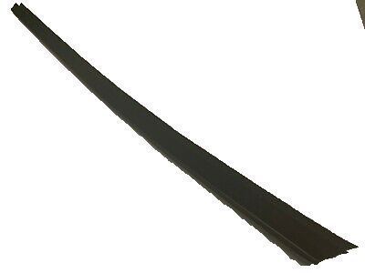 Pontiac 10326349 Belt Weatherstrip