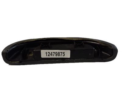 Chevy 12479875 ARMREST,FRONT SIDE DOOR(PART OF 1)(PEWTER)(TOGETHER WITH 15997953)