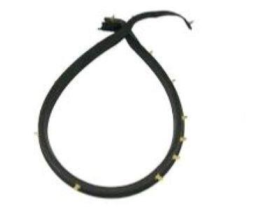 Chevy Camaro Weather Strip - 84160283