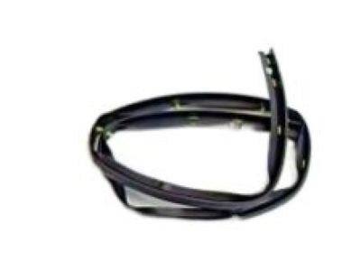 GMC 25790461 Lower Weatherstrip