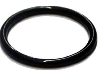 Chevy Silverado 2500 HD Thermostat Gasket - 94011602