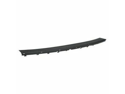 GM 15853597 Pad,Rear Bumper Fascia Step