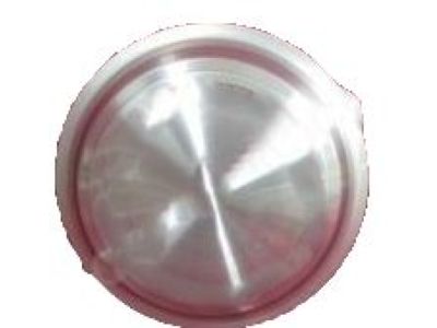 GM 10180840 Wheel Trim CAP