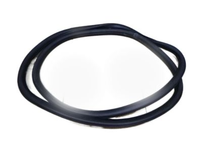 2014 Chevy Sonic Weather Strip - 95190186