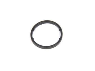 Pontiac 24445723 Outlet Pipe Seal