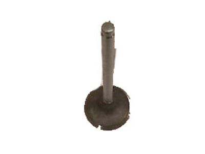 Buick 10166341 Intake Valve