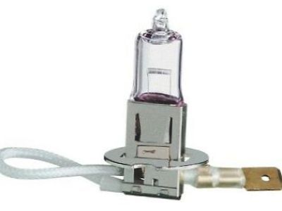 GMC 11513798 Bulb & Socket