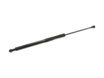 Pontiac Vibe Tailgate Lift Support - 88975531