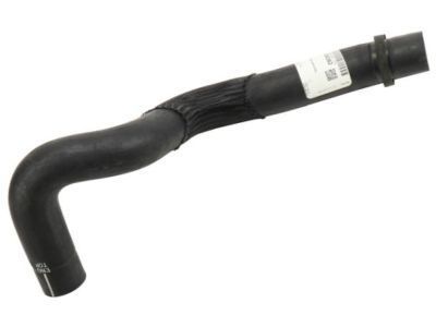 Chevy 22896362 Lower Hose