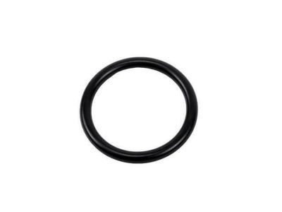 Chevy 55353331 Outlet Pipe Seal