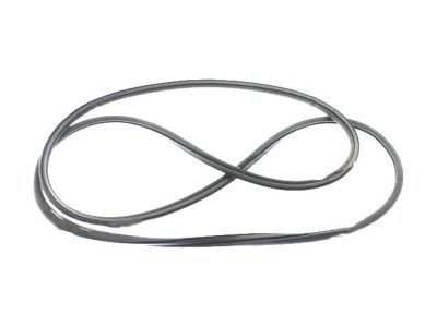 2010 GMC Sierra 1500 Weather Strip - 15842998