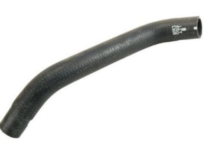 Chevy 22962568 Lower Hose