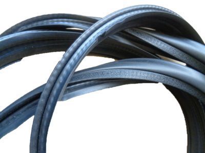 Pontiac 10212939 Weatherstrip