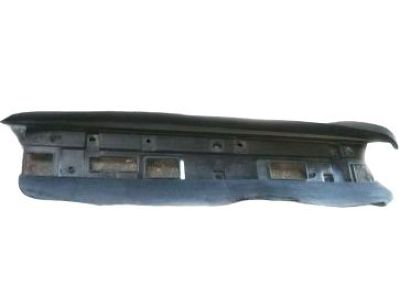 Chevy 10436318 Lower Deflector