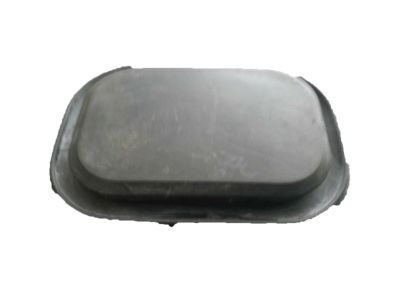 GM 10283990 Plug, Front Side Door Inner Panel Hole