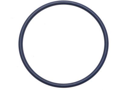 Chevy 15552872 SEAL,VEHICLE SPEED SENSOR(O RING)(PART OF 36)(TEFLON)