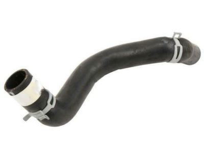 Chevy 10347833 Lower Hose