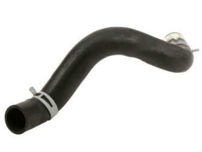 Chevy 10347833 Lower Hose