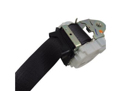 GMC 19331652 Center Seat Belt