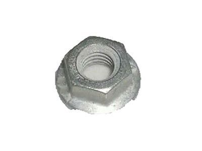 Chevy 11609716 Door Check Nut