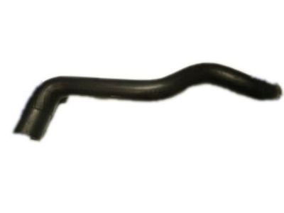 Chevy 10257252 Lower Hose