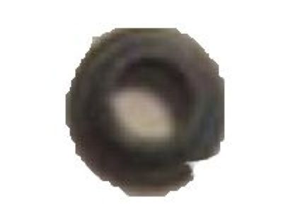 GMC 10213294 GROMMET,ENGINE FRONT COVER(PART OF 160)