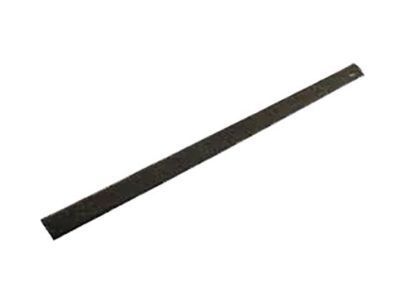 Buick Weather Strip - 25634573