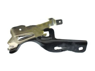 Buick 9056554 Hinge