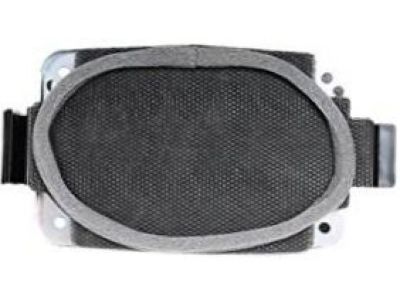 GM 15071125 Speaker Assembly, Radio Rear