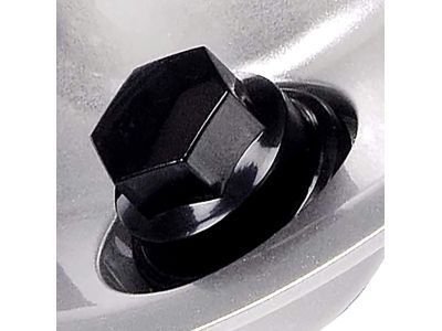 GM 9594422 Wheel Trim CAP *Brush