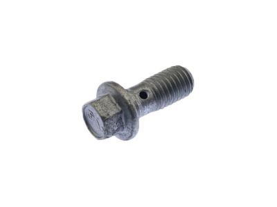 GMC 11569669 Brake Hose Bolt