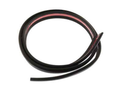 GMC 15113130 Drip Weatherstrip