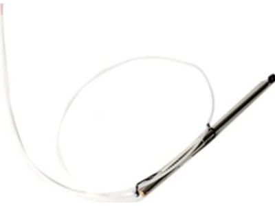 Chevy 10256439 Antenna Mast