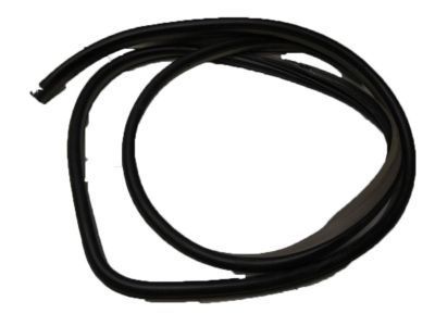 Chevy Aveo5 Weather Strip - 96467379